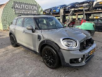 Mini Countryman 1.5 75KW Autom. Pano Clima Navi Dutch Made Edition Led picture 16