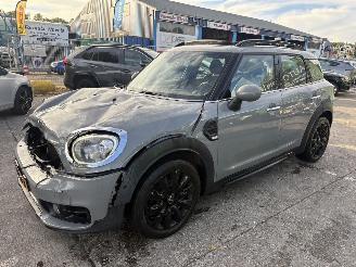 Mini Countryman 1.5 75KW Autom. Pano Clima Navi Dutch Made Edition Led picture 5
