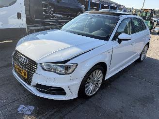 Audi A3 1.4 E-Tron 110KW Pano Clima Navi Keyless Led picture 4