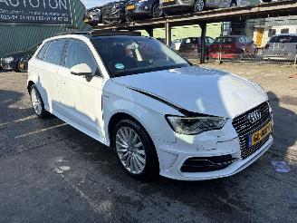 Audi A3 1.4 E-Tron 110KW Pano Clima Navi Keyless Led picture 1