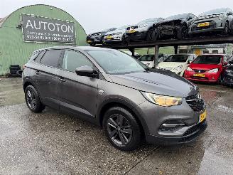 Auto incidentate Opel Grandland X 1.2 Turbo 96KW Clima Navi Led 120 Jaar Edition NAP 2019/7