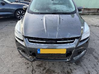 Ford Kuga 2.0 TDCI 132KW 4WD Clima Navi Titanium picture 18