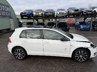 Volkswagen Golf 1.4 TSI 103KW DSG Pano ACT Highline picture 16