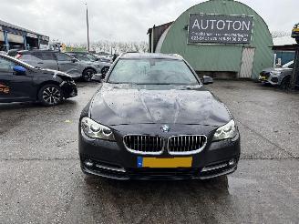 BMW 5-serie 520i 135KW Autom. Clima Navi Led Xenon High Executive NAP picture 6