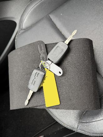 Dacia Spring 27 kWh Clima Navi Camera Leer Expression  NAP picture 12