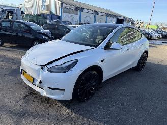 Tesla Model Y 75 kWh Performance 462PK AWD Pano Clima Navi picture 6