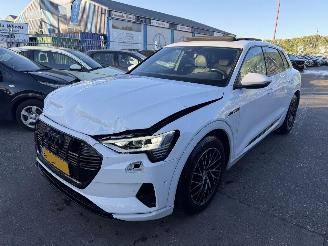 Unfallwagen Audi E-tron 55 Quattro 95 kWh 408PK Advanced Pano Clima Navi Led Camera NAP 2019/12