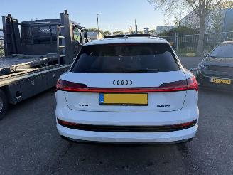 Audi E-tron 55 Quattro 95 kWh 408PK Advanced Pano Clima Navi Led Camera NAP picture 3