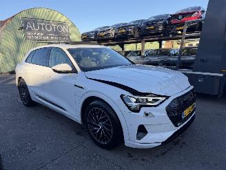 Auto incidentate Audi E-tron 55 Quattro 95 kWh 408PK Advanced Pano Clima Navi Led Camera NAP 2019/12