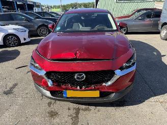 Mazda CX-30 2.0 e-SkyActiv-X Autom. 137KW M Hybrid Luxury Clima Navi Led NAP picture 16