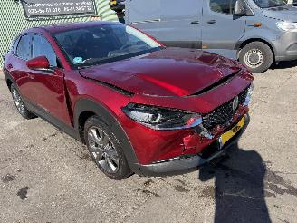 Mazda CX-30 2.0 e-SkyActiv-X Autom. 137KW M Hybrid Luxury Clima Navi Led NAP picture 17