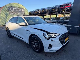 škoda osobní automobily Audi E-tron 55 95 kWh 300KW Quattro Advanced Pano Clima Navi Led Xenon 2019/12