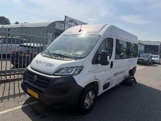 Avarii autoturisme Fiat Ducato 79 kWH Autom. 90KW 6 Persoons Rolstoellift 2022/9