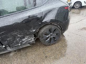Tesla Model Y 75 kWh Long Range RWD 258KW Pano Clima Navi NAP picture 18