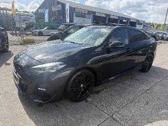 BMW 2-serie 218i Autom. 100KW Pano Clima Navi High Executive picture 2