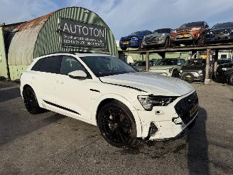 Audi E-tron 55 Quattro 95 kWh 408PK Pano Clima Navi Advanced Pro HUD picture 6