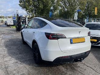 Unfallwagen Tesla Model Y 58 kWH 175 KW RWD NAP 2023/11