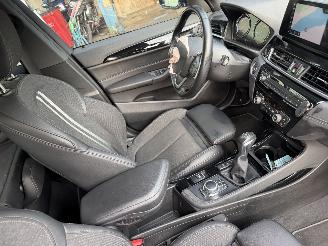 BMW X1 25e xDrive 92KW Autom. High Executive Clima Navi Led Hud picture 10