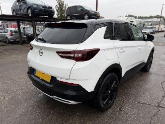 Opel Grandland X 1.2 Turbo 96KW Autom. Clima Navi Camera picture 3