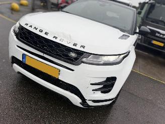 Land Rover Range Rover Evoque 1.5 P300e 254PK Pano Clima Navi R-Dynamic HSE AWD Led NAP picture 22