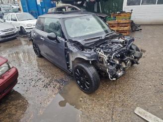 Mini Mini  picture 2