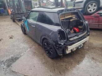 Mini Mini  picture 4