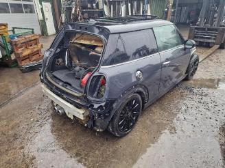 Mini Mini  picture 3