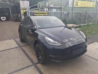 Tesla Model Y Model Y (5YJY), SUV, 2019 / 2025 Long Range,Performance picture 2