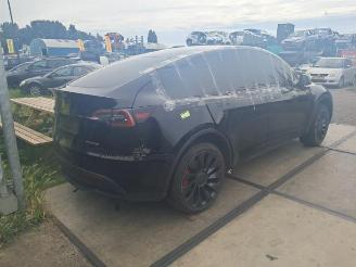 Tesla Model Y Model Y (5YJY), SUV, 2019 / 2025 Long Range,Performance picture 4