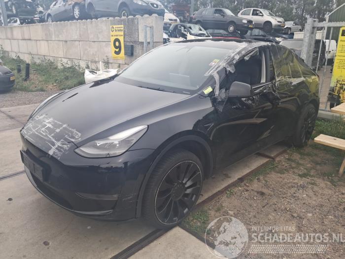 Tesla Model Y Model Y (5YJY), SUV, 2019 / 2025 Long Range,Performance