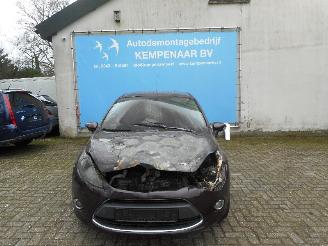 Ford Fiesta Fiesta 6 (JA8) Hatchback 1.25 16V (SNJA) [60kW]  (06-2008/06-2017) picture 1
