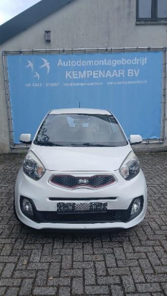 Salvage car Kia Picanto Picanto (TA) Hatchback 1.0 12V (G3LA) [51kW]  (05-2011/06-2017) 2015/2