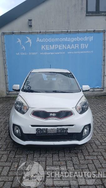 Kia Picanto Picanto (TA) Hatchback 1.0 12V (G3LA) [51kW]  (05-2011/06-2017)