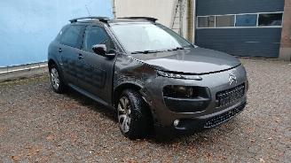 Citroën C4 C4 Cactus (0B/0P) Hatchback 5-drs 1.2 PureTech 82 12V (EB2F(HMZ)) [60k=
W]  (09-2014/...) picture 2