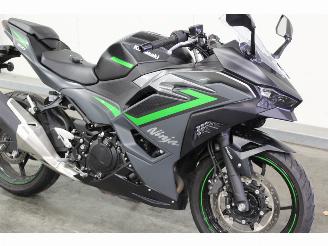 Kawasaki  Ninja 500 ABS picture 5