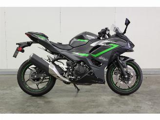 Kawasaki  Ninja 500 ABS picture 3