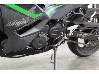 Kawasaki  Ninja 500 ABS picture 8