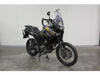Yamaha XT 660 Z Tenere ABS picture 5