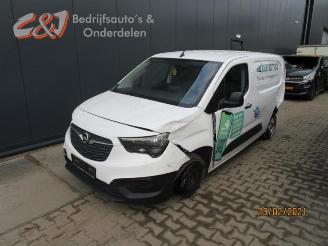 Opel Combo Combo Cargo, Van, 2018 1.5 CDTI 75 picture 2