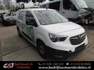 Opel Combo Combo Cargo, Van, 2018 1.5 CDTI 75 picture 4