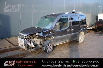 Salvage car Fiat Doblo Doblo (223A/119), MPV, 2001 / 2010 1.9 JTD Multijet 2008/5