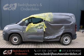 Citroën Berlingo Berlingo, Van, 2018 1.6 BlueHDI 100 picture 2