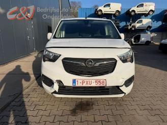 Opel Combo Combo Cargo, Van, 2018 1.5 CDTI 130 picture 24