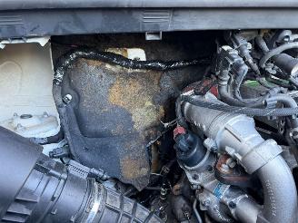 Volkswagen Crafter  picture 12