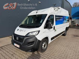 Coche siniestrado Fiat Ducato Ducato (250), Van, 2006 2.2 D 140 Multijet 3 2022/1