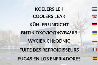 Volkswagen Caddy  picture 6