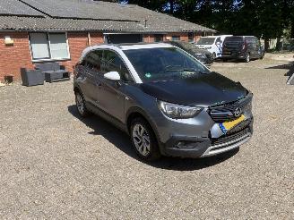 Opel Crossland PANODAK picture 3