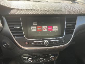 Opel Crossland PANODAK picture 4