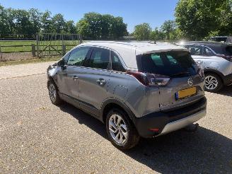 Opel Crossland PANODAK picture 13