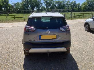 Opel Crossland PANODAK picture 12